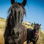 مزرعة للإقامة San Silvestro *