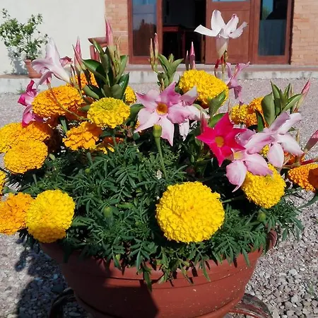 Vakantieboerderij San Silvestro *