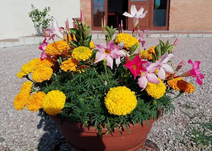 Gospodarstwo agroturystyczne San Silvestro *